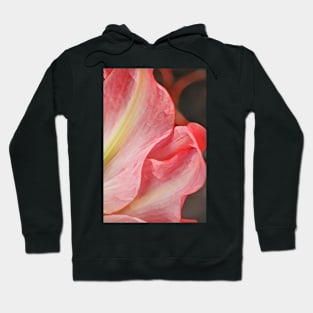 The Pink Flow Hoodie